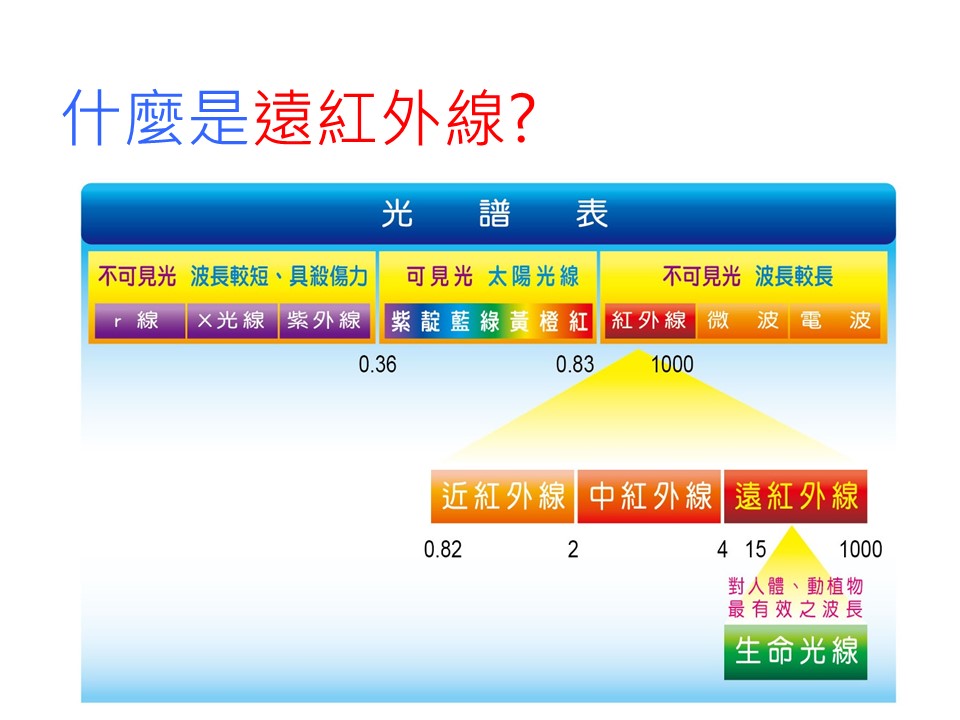 投影片1